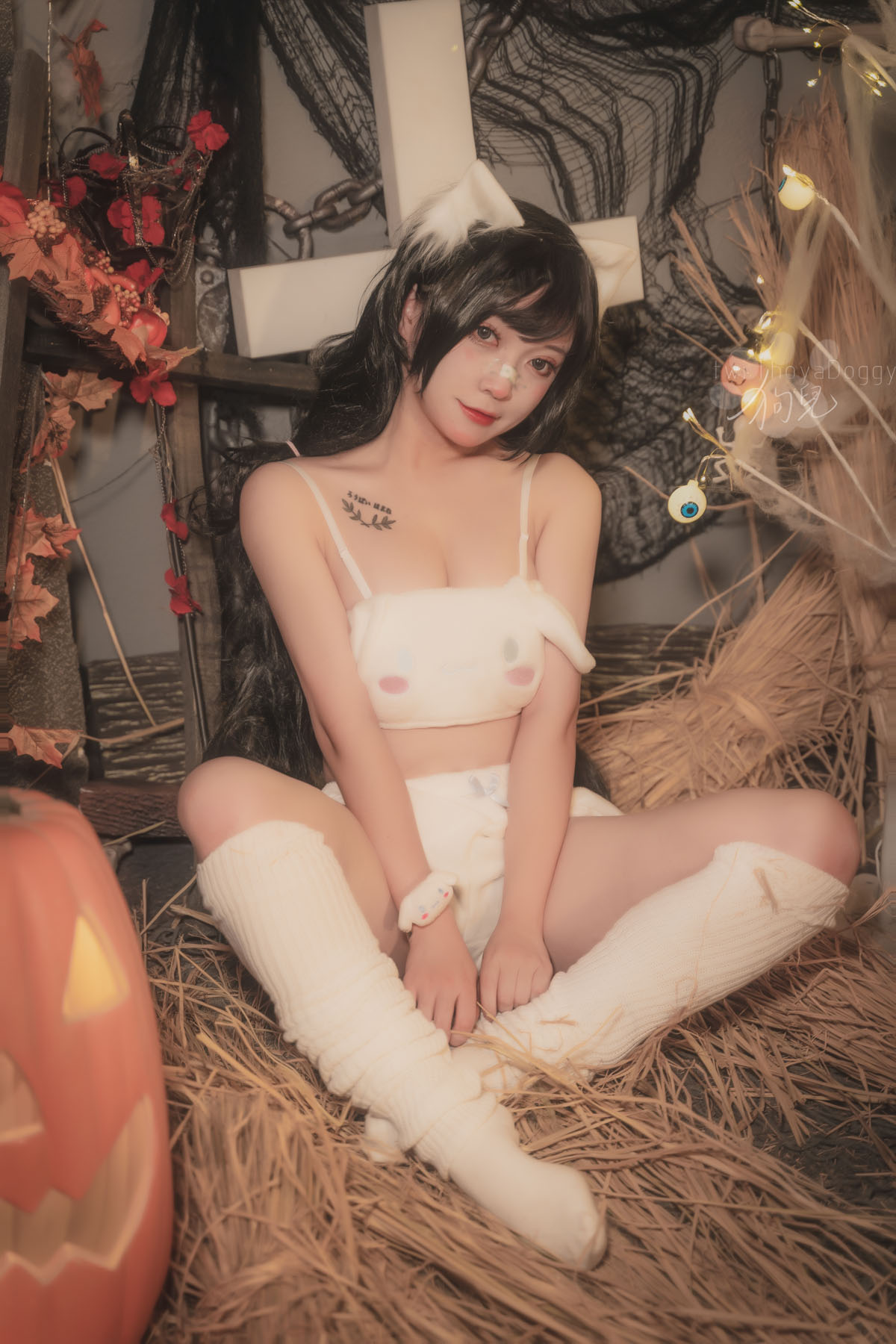 [合集]奇行家狗崽全套11期，大小3.3G新收录-美女海