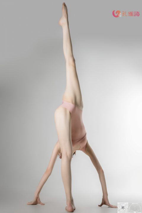 舞蹈生日记 - 全套123期合集[28.9G]-孔雀海|珍藏合集