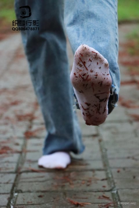 织梦映像 - 全套69期及视频合集[541G-2025.3]-孔雀海|珍藏合集